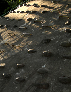 morning gymnastic2.JPG